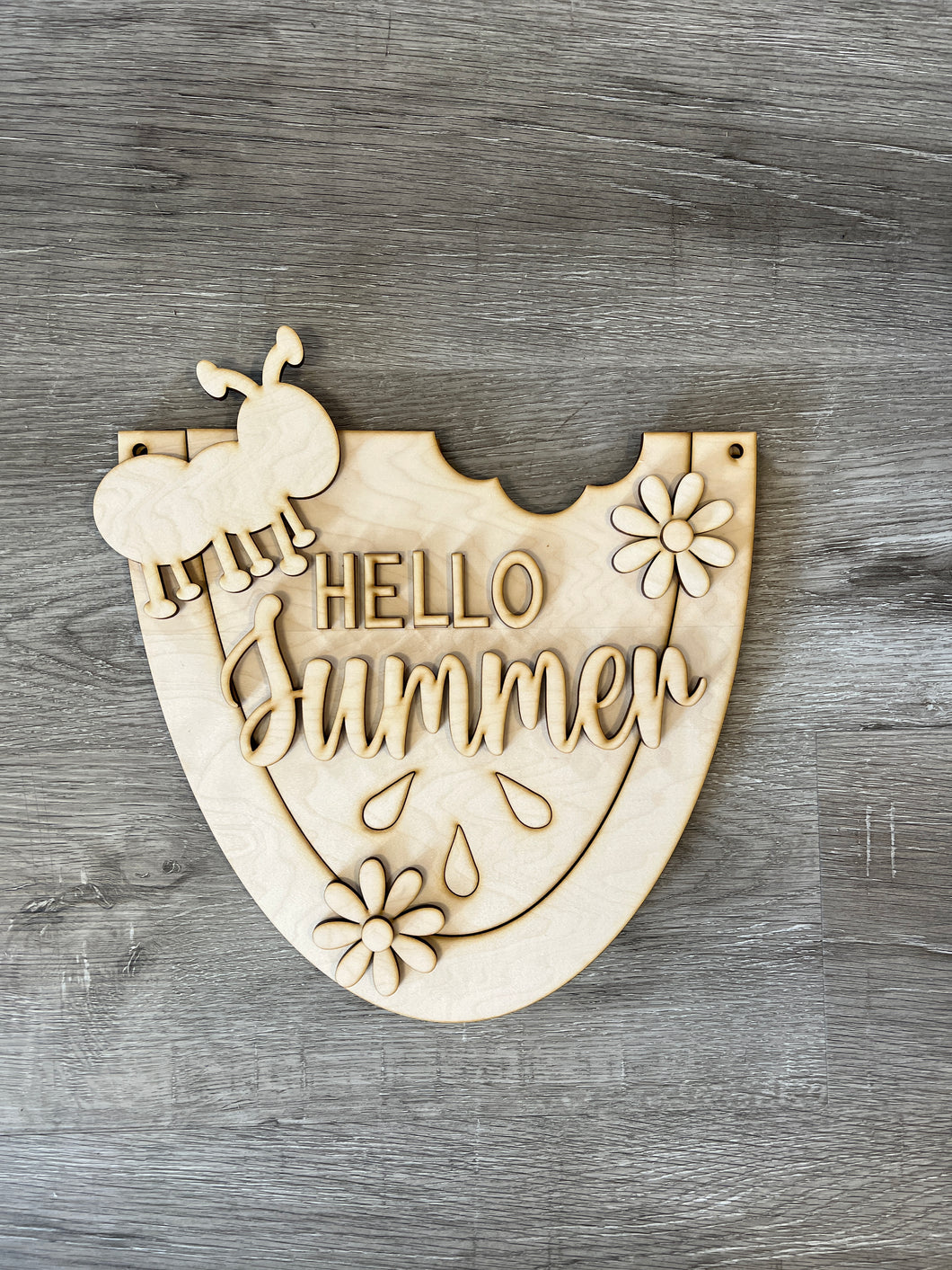 Hello Summer Watermelon Doorhanger